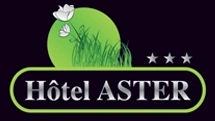 logo Logis Hotel Aster Rest. Aux Arcades ***
